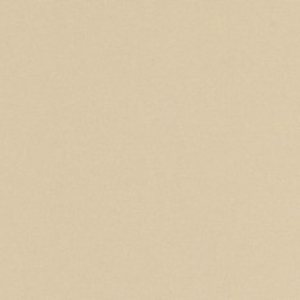 Sunbrella - Linen